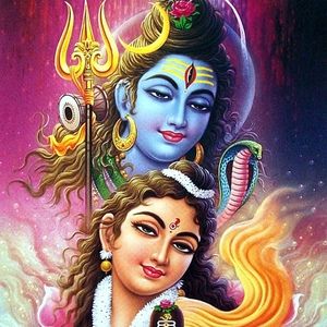 Meet your Posher, Teeny